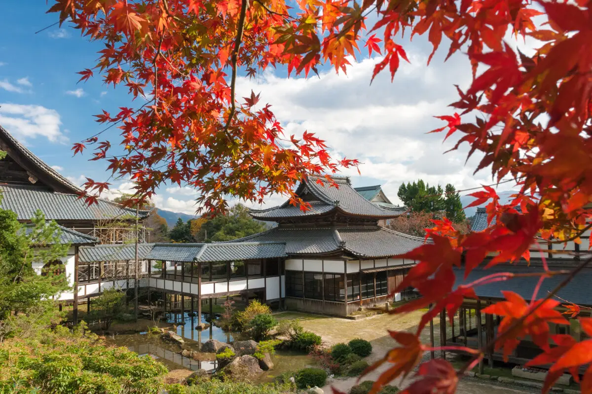 Saifukuji Temple's image 1