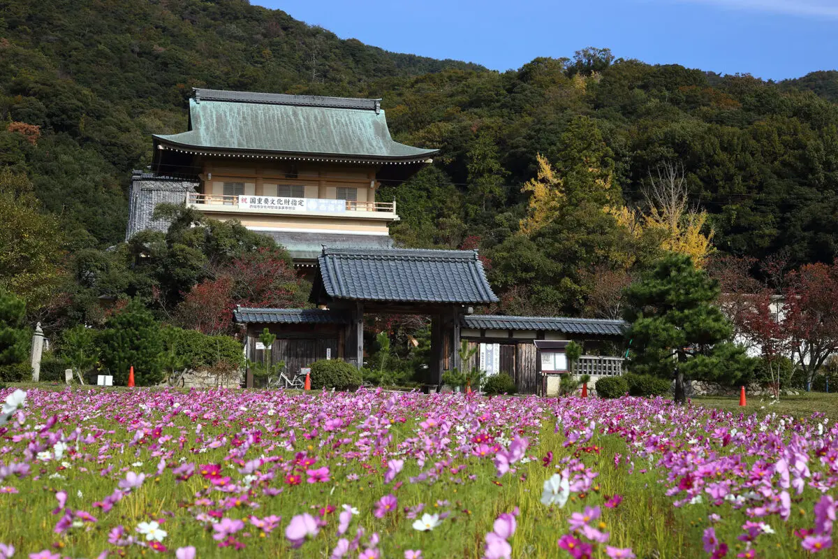 Saifukuji Temple's image 4