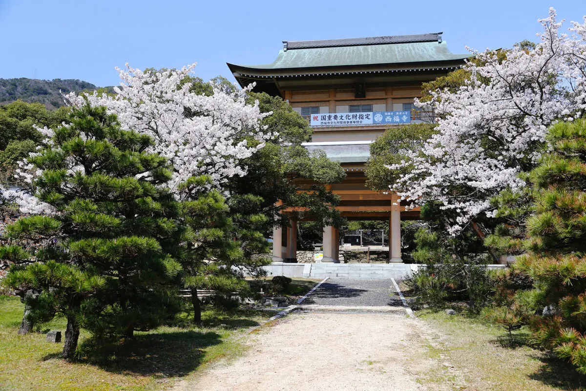 Saifukuji Temple's image 5