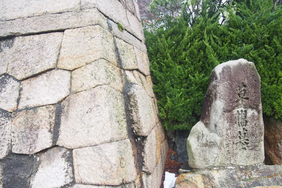 端渓硯 鳥と鬼灯 611UaYu9LwL._UF350,350_QL80_.jpg