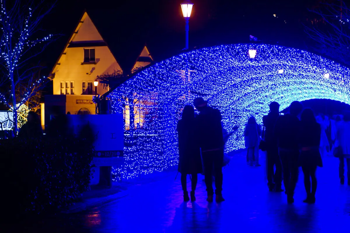 敦賀港イルミネーション「ミライエ」＜11月〜12月＞ - 旅する港町つる