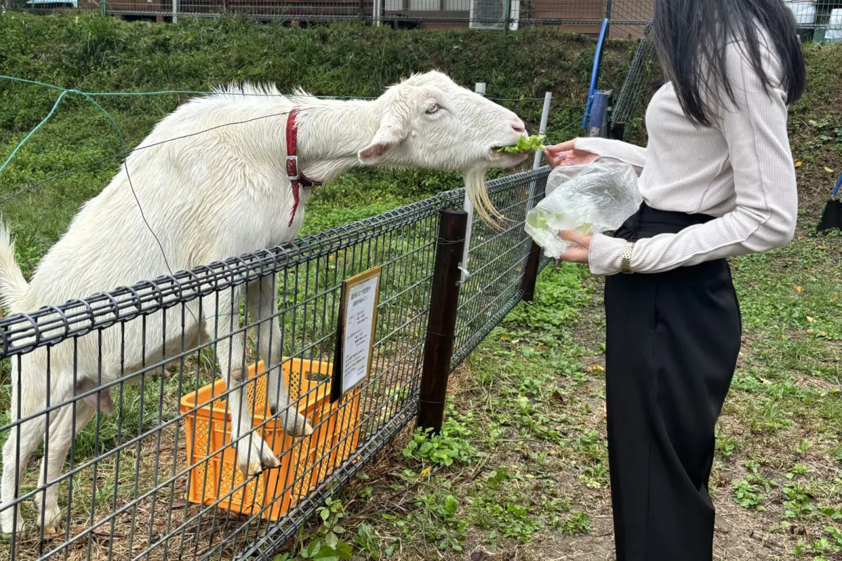 かまど炊き卵かけご飯体験と乗馬・餌やり体験 - 旅する港町つるが 敦賀